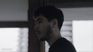 USER — foto 1