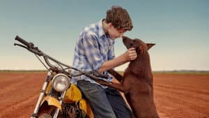 Red Dog: True Blue — foto 1