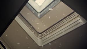 Lei da Gravidade — foto 3