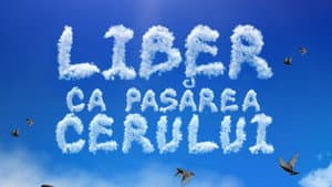 Liber ca pasărea cerului — foto 1