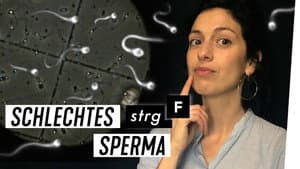 Episodio 41