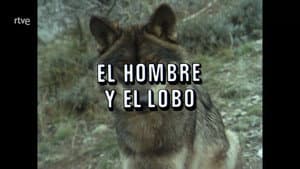Episodio 86