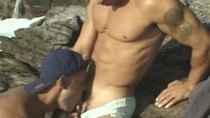 Transas de verão — foto 1
