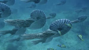 Monstruos Marinos: una aventura Prehistórica — foto 7