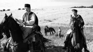 Aferim! — foto 2
