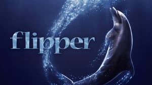 Flipper — foto 2