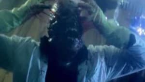 Skinless — foto 1