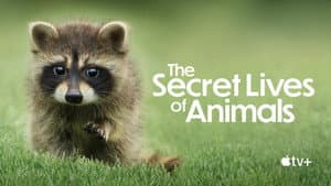 La vida secreta de los animales — foto 5