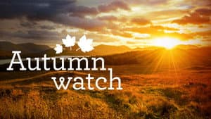 Autumnwatch — foto 2