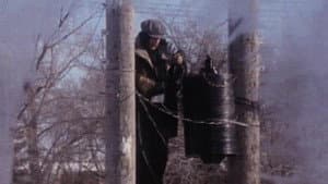 The Great Electrical Revolution — foto 1