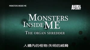 Episodio 9