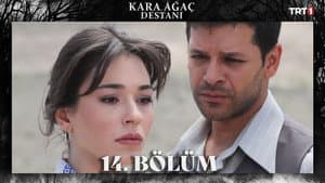 Episodio 14