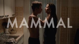 Mammal — foto 1