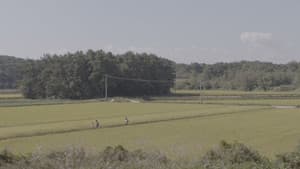 여름에 내린 눈 — foto 1