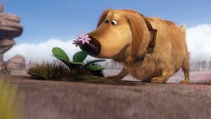 La misión especial de Dug — foto 4