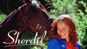 Sherdil — foto 2