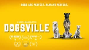 Dogsville — foto 2