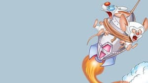 Pinky y Cerebro — foto 3