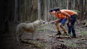 Buddymoon — foto 5