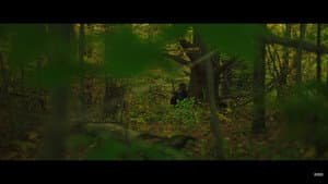 Permanecen — foto 11