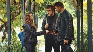 Episodio 5