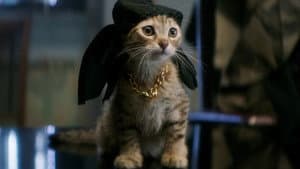 Keanu — foto 7