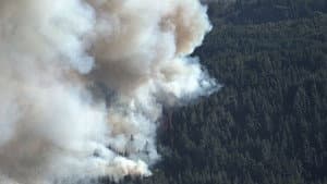 Ecos del Fuego — foto 1