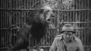 Abbott y Costello: África viva — foto 2