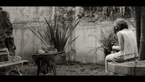 ANORMALES — foto 1