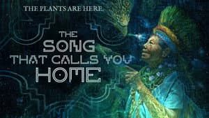The Song That Calls You Home — foto 1