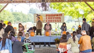 Harvest Love — foto 8