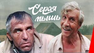 Серая мышь — foto 1