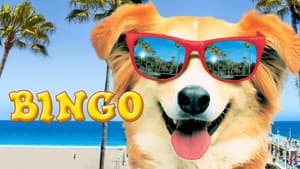 Bingo — foto 4