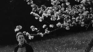 Mademoiselle — foto 2