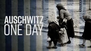 Ein Tag in Auschwitz — foto 1