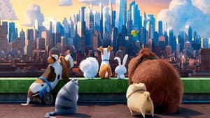 La vida secreta de tus mascotas — foto 7