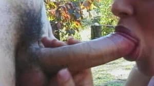 Young Tender Trannies 22 — foto 1