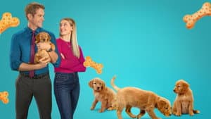 Everything Puppies — foto 1