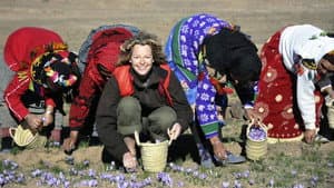 The Spice Trail — foto 1