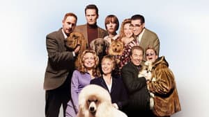 El perro ganador — foto 9