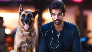 நாய்கள் ஜாக்கிரதை — foto 2