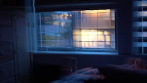 Moments of the Elusive — foto 1