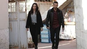 Episodio 5