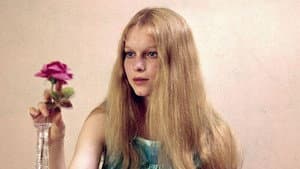 Peyton Place — foto 12
