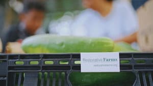 Grow a Better Dallas — foto 3