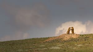 China's Wild Empire — foto 3