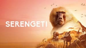 Serengueti — foto 11
