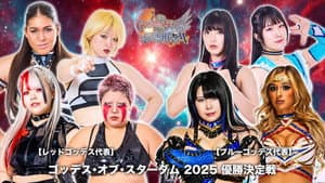 第15回 ゴッデス・オブ・スターダム ～タッグリーグ優勝決定戦～ in HAMAMATSU — foto 1