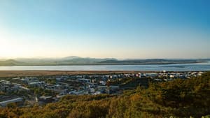 위대한 계약: 파주, 책, 도시 — foto 4