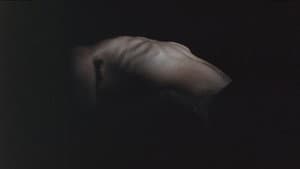 The Malady of Death — foto 1